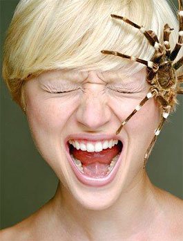 La PAURA fa novanta, la FOBIA fa duecento! — Istituto per lo Studio